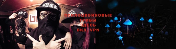 молекула духа Алзамай