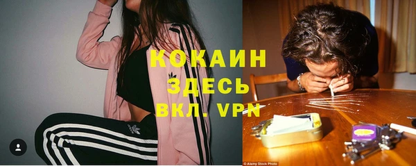 молекула духа Алзамай